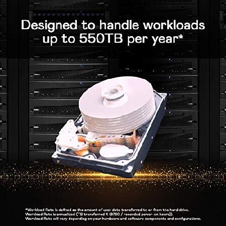 【並行輸入品】 Western Digital HDD 10TB WD Gold エンタープライズ 3.5インチ 内蔵HDD WD102KRYZ