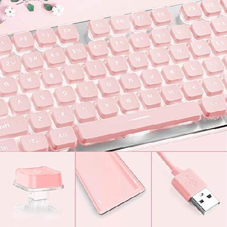 【並行輸入品】 Computer Keyboard， LANGTU Backlit LED Pink Keyboard for Office， All-Metal Panel USB Wired Membrane Keyboard， 25 Keys Anti-ghosting_2