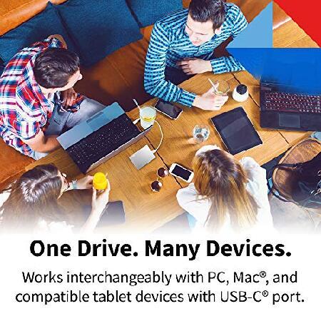 【並行輸入品】 Toshiba Canvio Flex 1TB ポータブル外付けハードドライブ USB-C USB 3.0 シルバー PC Mac タブレット用 HDTX110XSCAAの画像