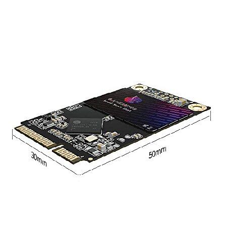 【並行輸入品】 Gamerking SSD Msata 512GB 内蔵ソリッドステートドライブ 高性能ハードドライブ デスクトップノートパソコン SATA III 6Gb/s (512GB MSATA)