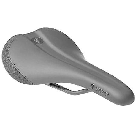 並行輸入品】 SDG Components Bel-Air V3 トラディショナル スチール