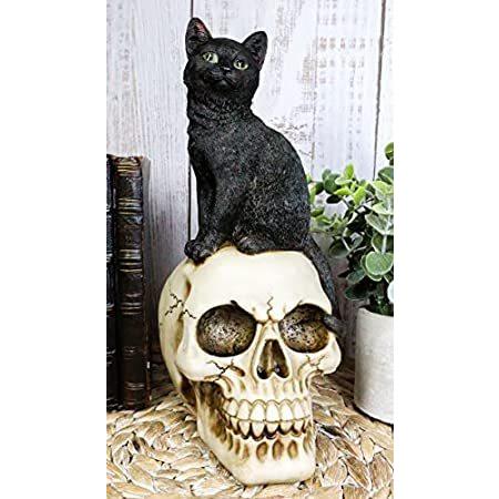 エブロス 猫 魔女 時間 時間 神秘的な猫 魔術師 黒猫 ハロウィン 神秘的な猫 頭蓋骨に座る 3d 猫 スカル マカバー 装飾 オススアリ 並行輸入品 死者の日 ウィッカ ハロウィン アクセ B09mm9l7m7 オーエルジー