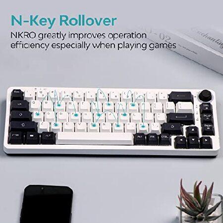 EPOMAKER Theory TH68 Pro 65% 67 Keys RGB Hotswap Programmable