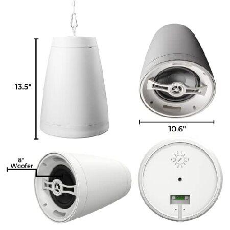 【並行輸入品】 OSD Nero Arc 8 Professional Hanging Pendant Speaker 200W, 8\" Graphite Cone / 1” Silk Dome Tweeter, for Home or Commercialの画像