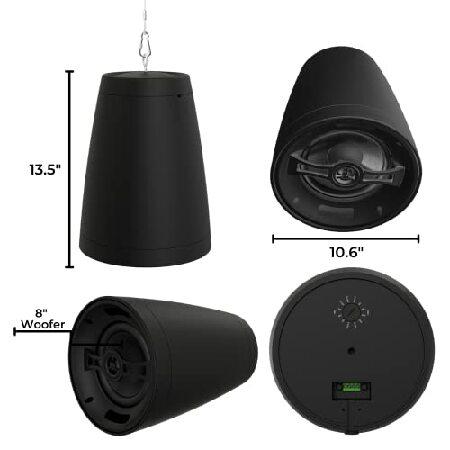 【並行輸入品】 OSD Nero Arc 8 プロフェッショナル 吊り下げペンダントスピーカー 200W 8インチグラファイトコーン / 1インチの画像