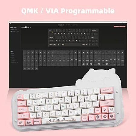 売れ筋超安い EPOMAKER Mini Cat 64 60% Hot Swappable QMK/VIA Programmable RGB Wired Mechanical Gaming DIY Keyboard Kit with Refinedly Tuned Stabilizers，(並行輸入品)