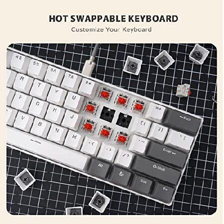 【並行輸入品】 iLovBee i61 60%有線キーボード メカニカル ホットスワップ可能 コンパクトRGBゲーミングキーボード 61キーミニキーボード | ブランド登録なし | 02