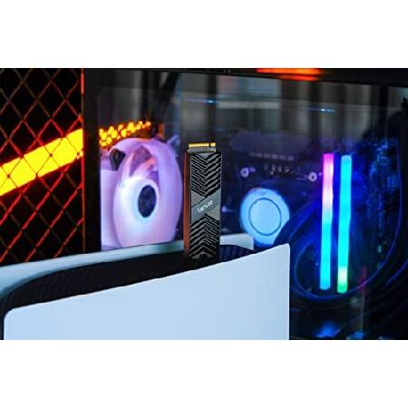 Lexar Professional 2TB NM800 PRO with Heatsink M.2 2280 PCIe Gen4x4 NVMe SSD, Read Speeds Up to 7500MB/s, for Gamers and Creators (LNM800P(並行輸入品)