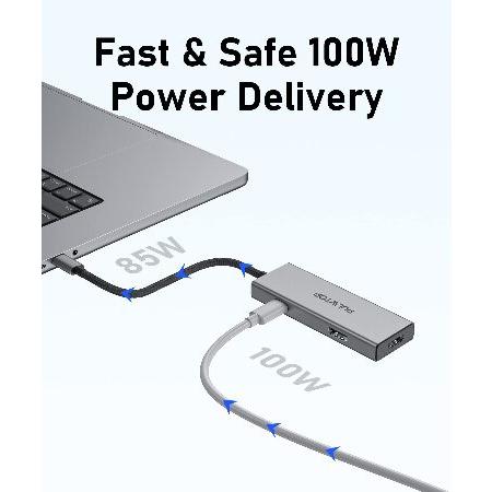 【並行輸入品】 USB C Docking Station to Dual HDMI Adapter， 6 in 1 USB C Hub Dual HDMI Monitors for Windows， USB C Adapter with Dual HDMI， 3 USB Port，
