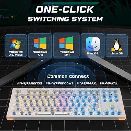 AULA Wireless Mechanical Keyboard, 3 in 1 Hot Swappable RGB Mechanical Gaming Keyboard with Transparent keycaps, 17 RGB Modes and 19 Side Light Modes,｜olg｜06