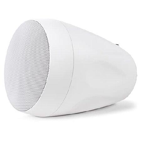 【並行輸入品】 Pure Resonance Audio PD4W 4\" Pendant Speakers - (2 Speakers, White)の画像