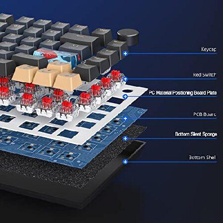 【並行輸入品】 Fogruaden 75% Wired Mechanical Gaming Keyboard 75 Percent Keyboard Hot Swappable， Red Switch， RGB Backlit 82 Keys TKL Mechanical_2