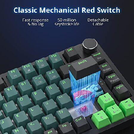 【並行輸入品】 Fogruaden Wired 75% Percent Mechanical Keyboard Hot Swappable， Red Switch， RGB Backlit， 82 Keys TKL Mechanical Keyboard， NKRO Compact_4