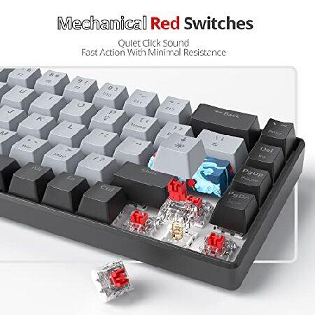 【並行輸入品】 Mosptnspg Protable 60% ゲーミングキーボード メカニカル、ミニコンパクトRGBバックライト68キー有線オフィスキーボード 赤スイッチ付き_3