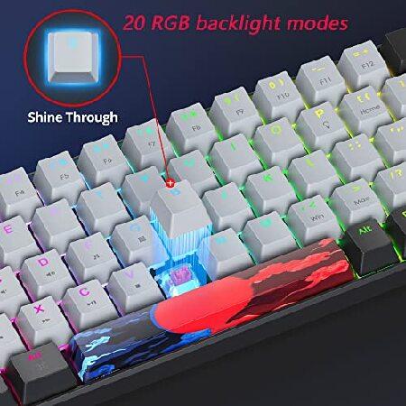 【並行輸入品】 Mosptnspg Protable 60% ゲーミングキーボード メカニカル、ミニコンパクトRGBバックライト68キー有線オフィスキーボード 赤スイッチ付き_4