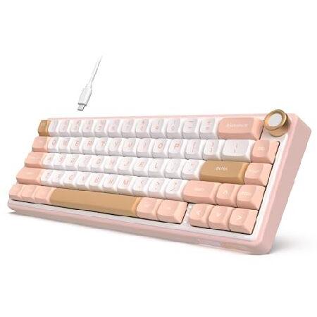 RK  KLUDGE R65 ゲーミングキーボードとコイルケーブル 並行輸入品】 RK ROYAL KLUDGE R65 有線メカニカルキーボード