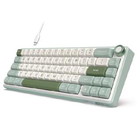 並行輸入品】 RK ROYAL KLUDGE R65 有線メカニカルキーボード