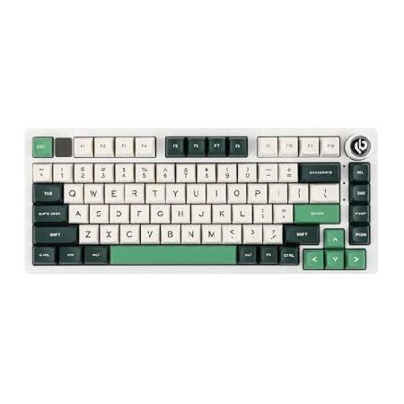 並行輸入品】 EPOMAKER x LEOBOG Hi75 Wired Mechanical Keyboard