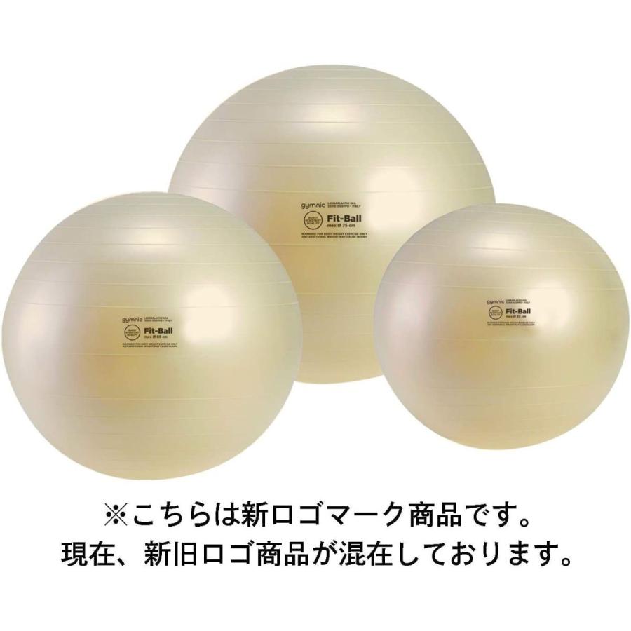 ギムニクカラーボール 85cm レッド