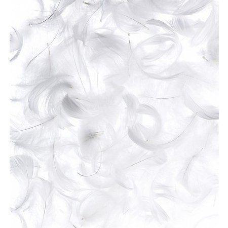割引購入 ウエディングランド Weddingland 羽シャワー フェザーシャワー フラワーシャワー ホワイト たっぷり0枚 約40名分 Wantannas Go Id