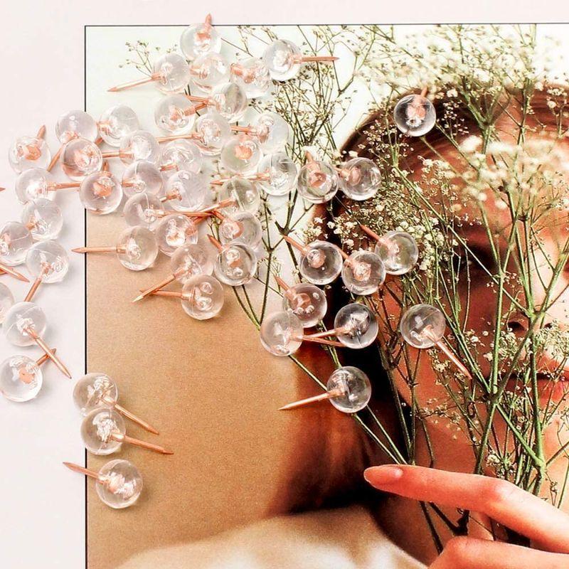 割引発見 画鋲 画びょう 留め具 プッシュピン 押しピン クリア 画ビョウ 透明 可愛い画鋲 おしゃれ 目立たない 紙 コルクボード フォト ファイル 画びょう ピン Www We Job Com