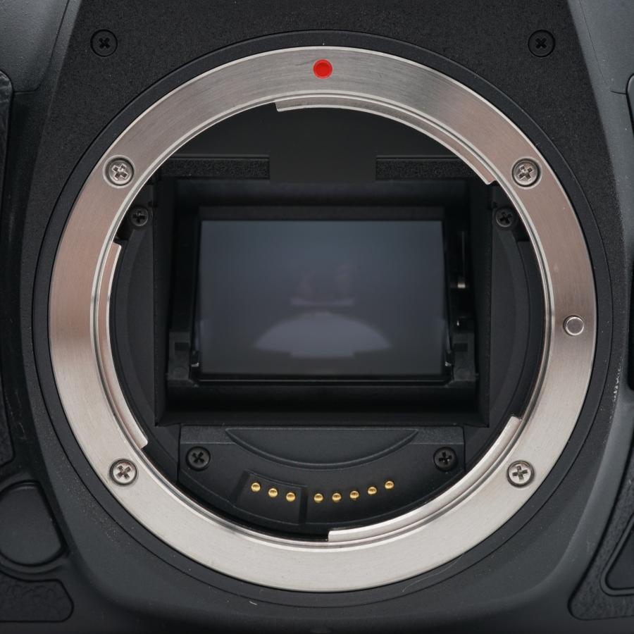 【シャッター回数339回】■ほぼ新品 ■EOS 5D Mark IV Canon - 【シャッター回数339回】□ほぼ新品 □EOS 5D Mark IVの通販