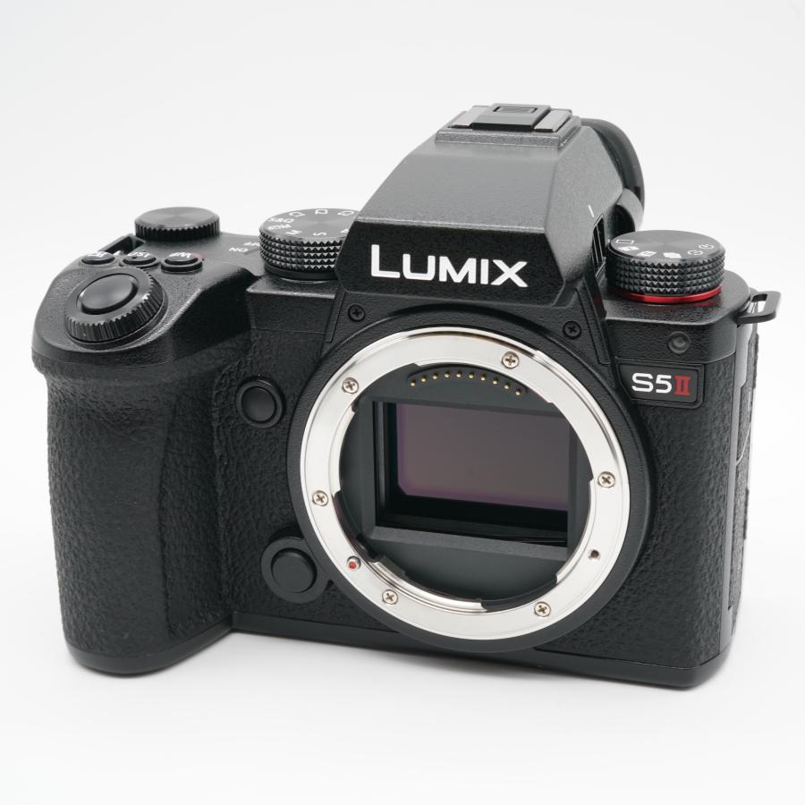 新品級 パナソニック Panasonic DC-S5M2W ダブルズームセットの画像