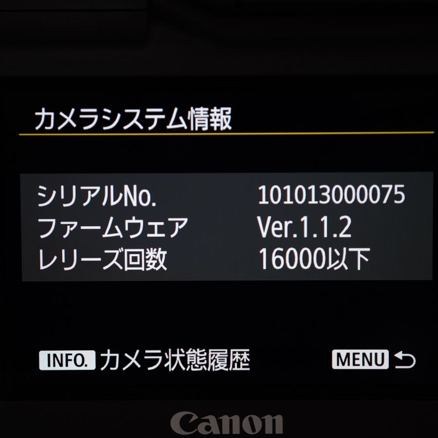 ほぼ新品 キヤノン EOS-1D X Mark II ボディ レリーズ数16000回以下！あると嬉しい取説・純正ストラップ付！の画像