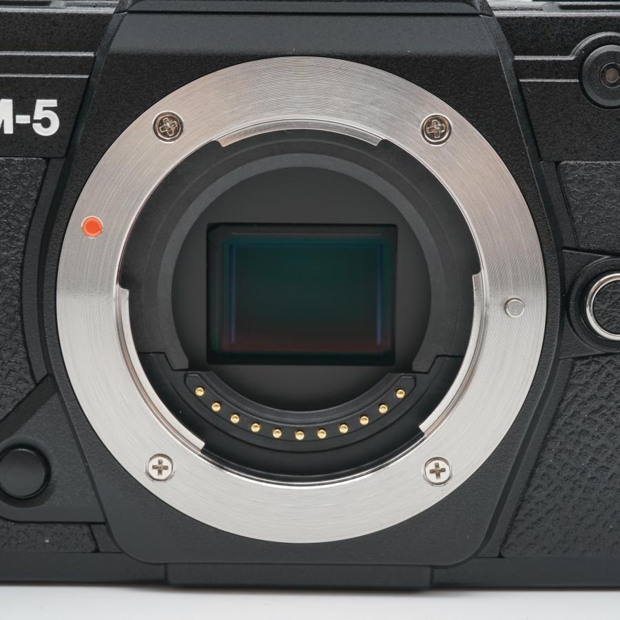 ほぼ新品 オリンパス OLYMPUS OM SYSTEM OM-5 ボディ S数3680回、あると嬉しい元箱（レンズキット）・バッテリー2個、純正ストラップ付！_9