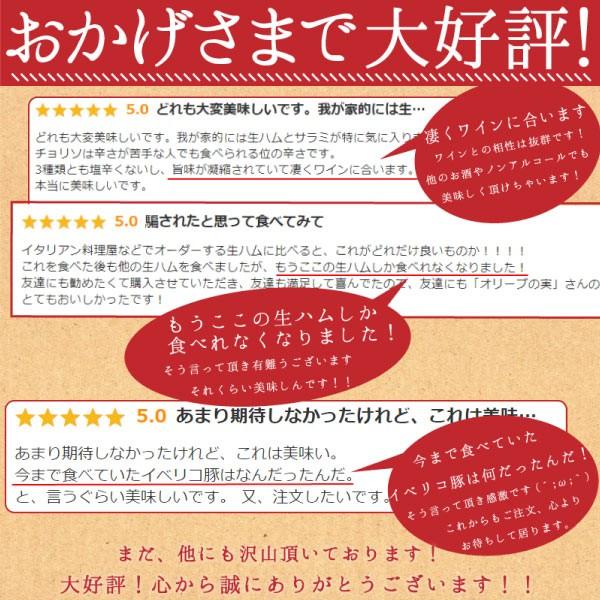 スペイン直輸入 生ハム食べ比べ 世界3大生ハムハモンセラーノ 二種セット 送料無料 食品お試し ポイント消化 訳あり セール Z 肉処 絶品お惣菜 オリーブの実 通販 Yahoo ショッピング