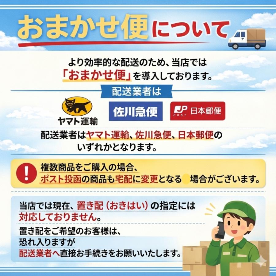 22 バインダー コレクトブック A5 6リング 6穴 システム手帳 バイ