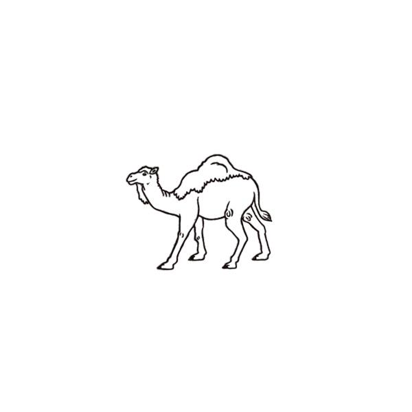 アニマルスタンプ ラクダ 対象商品3点以上でメール便送料無料 らくだ 動物はんこ 手帳 B6 かわいい おしゃれ ハンコ グッズ 雑貨 文房具 ナチュラル ゴム印 Animal Stamp 001 オリーブアベニュー 通販 Yahoo ショッピング