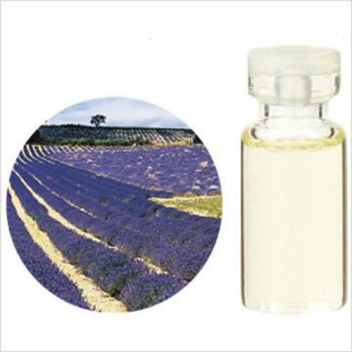 エッセンシャルオイル ラベンダー フランス産 ３ml 生活の木 アロマオイル 精油 Skeoilavef3 オリーブの木 通販 Yahoo ショッピング