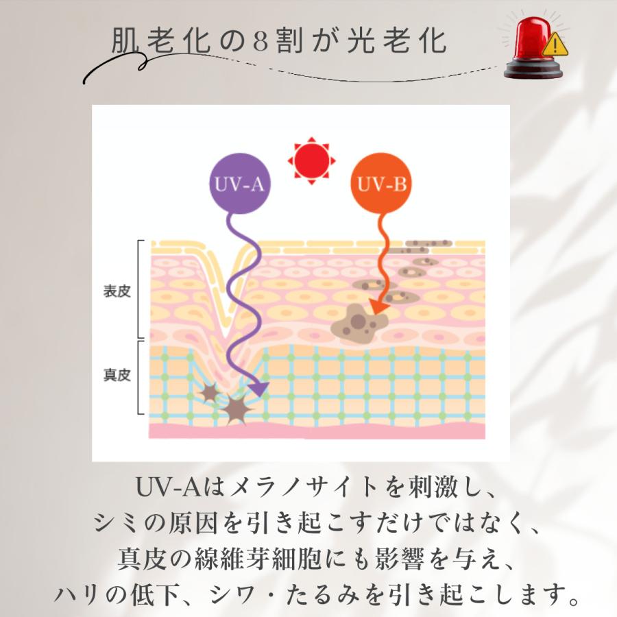 ザ・UVプロテクター ホワイトベージュ(明るい肌色) 30g SPF35 PA+++