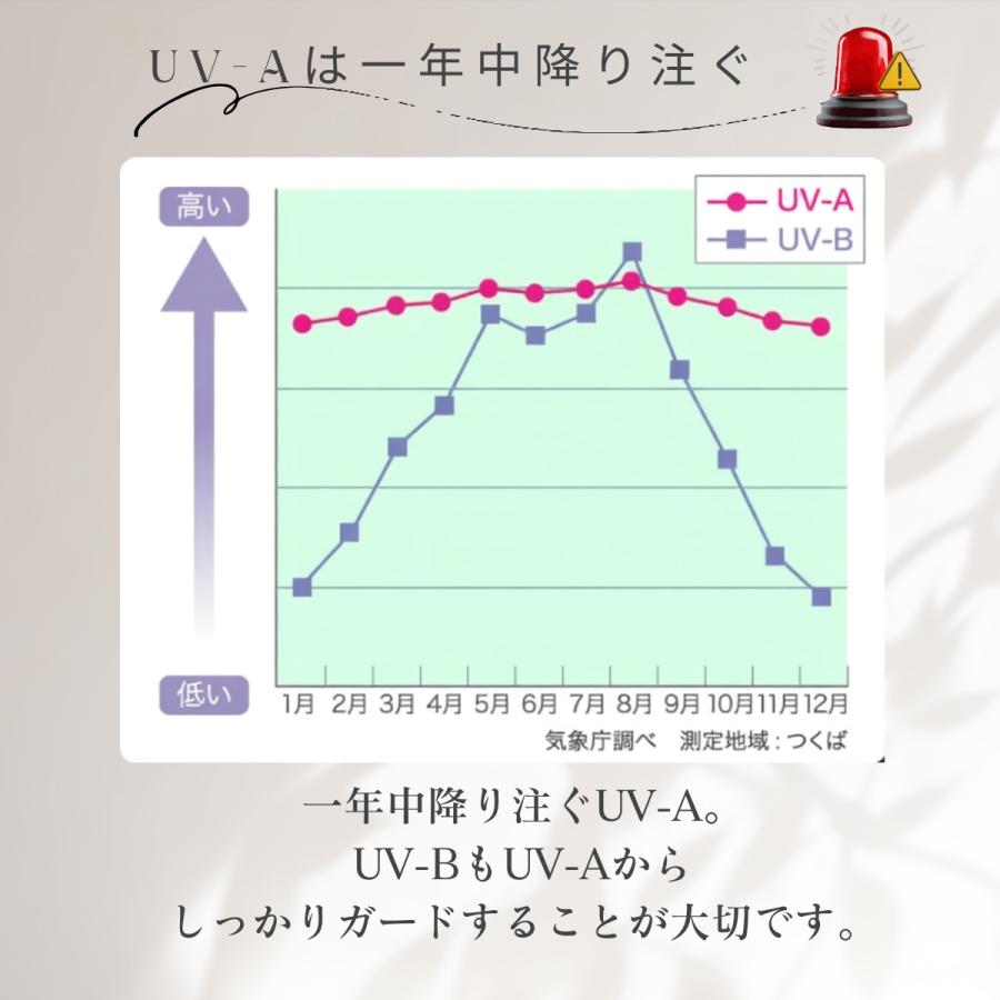 ザ・UVプロテクター ホワイトベージュ(明るい肌色) 30g SPF35 PA+++