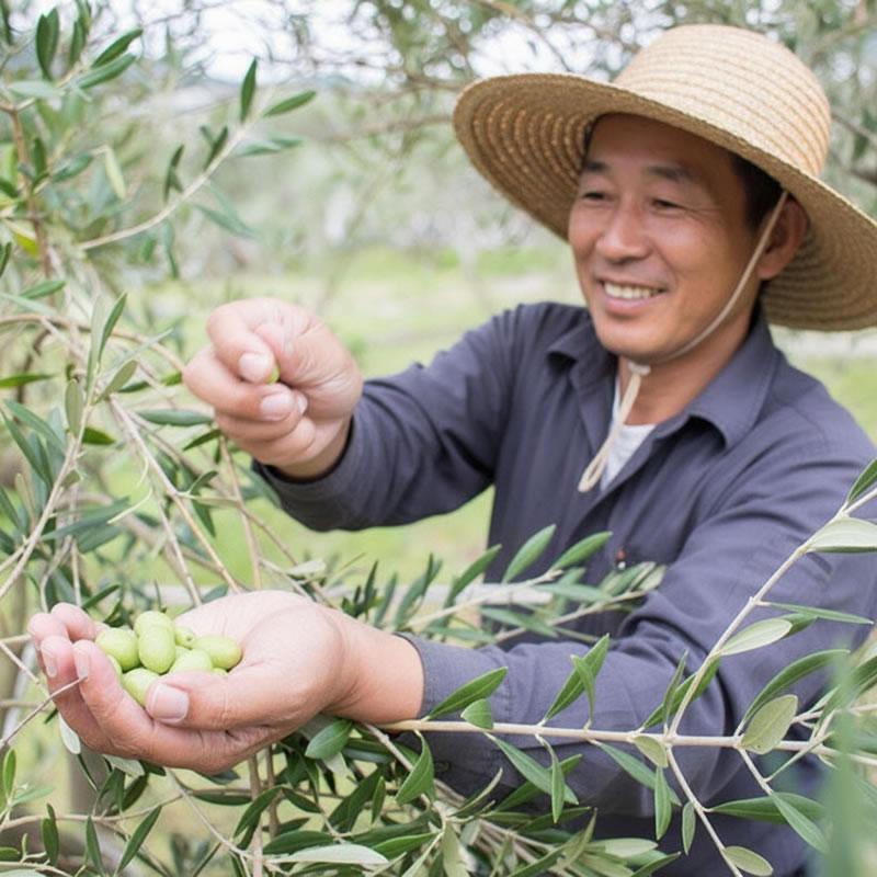 小豆島産 新漬けオリーブ エンジェルドロップ 80g 単品 メール便送料