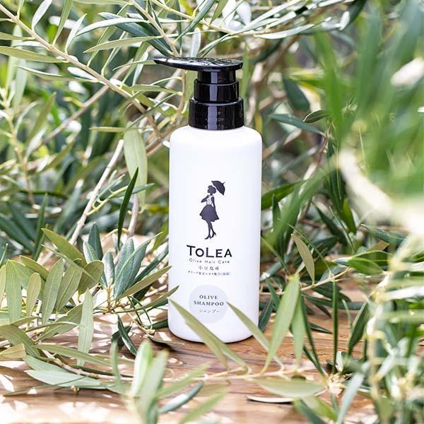 トレア オリーブシャンプー 300ml オリーブ シャンプー 髪 ヘアケア