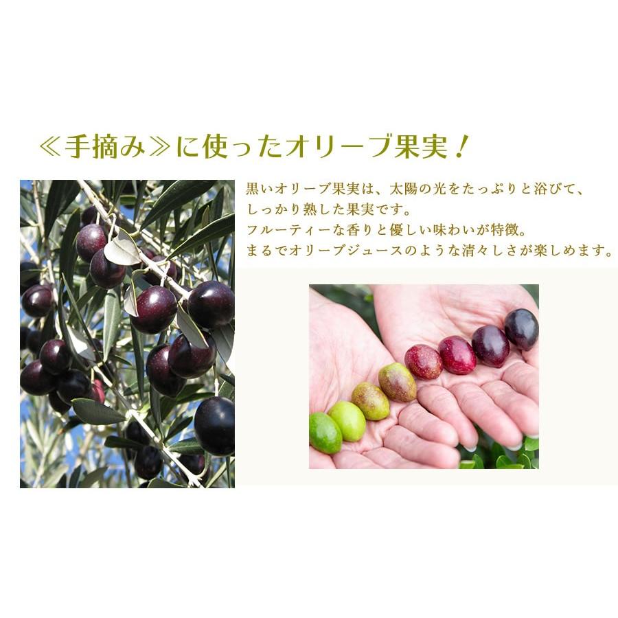 2024年・今年の新物!/小豆島産 エキストラバージンオリーブ 2024年・今年の新物!/小豆島産 エキストラバージンオリーブ