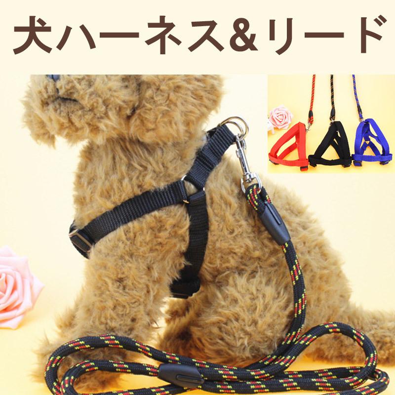 犬ハーネス リード セット ペット 小型犬 簡単装着 ハーネス ワンタッチ式 ペットグッズ 送料無料 500円 P54 Hami Pet 通販 Yahoo ショッピング