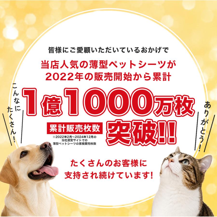 HAMI PET ペットシーツ 薄型 レギュラー ワイド スーパーワイド 800枚