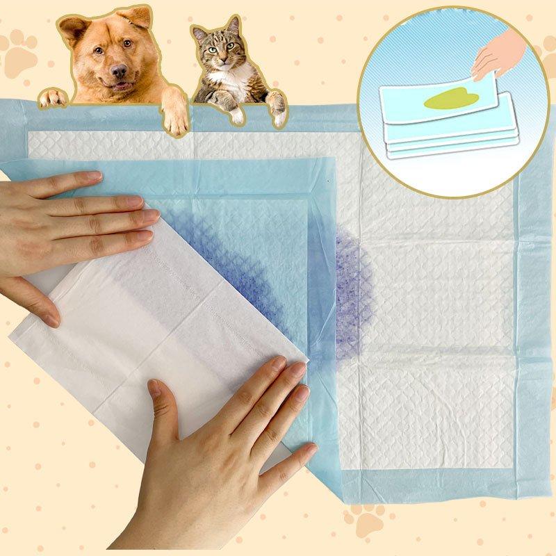 トイレ用品・ペットシーツ・おむつ TKG ペトモ 抗菌防水シーツ （ 約145cm×90cm 防水 ペット ペット