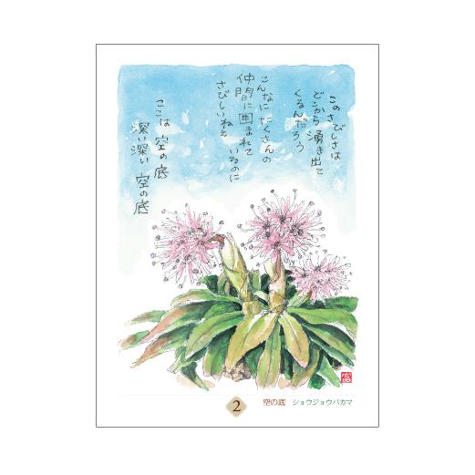 星野富弘 31枚の詩画 日めくり どうしても必要なものはただひとつ