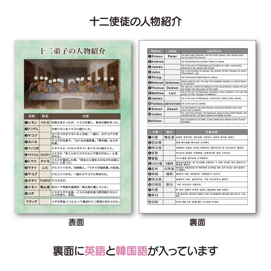 ビギナーズセット ハガキ型カード 5種類入り×5セット 英語・韓国