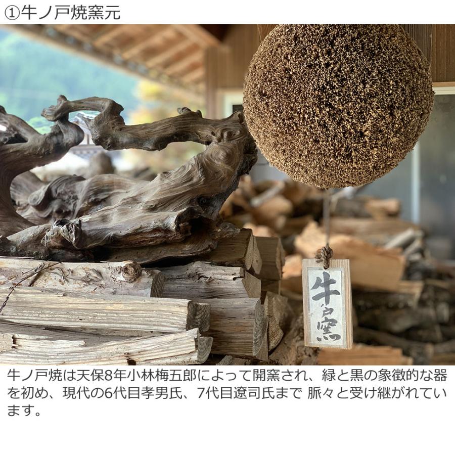 鳥取の民藝 牛ノ戸焼窯元 5寸皿 小皿 黒と緑の染分 B : おまめ - 通販