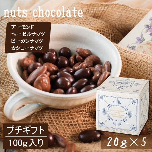 ギフトボックス入】ナッツチョコ ミックス 100g（20g×5） ミックス