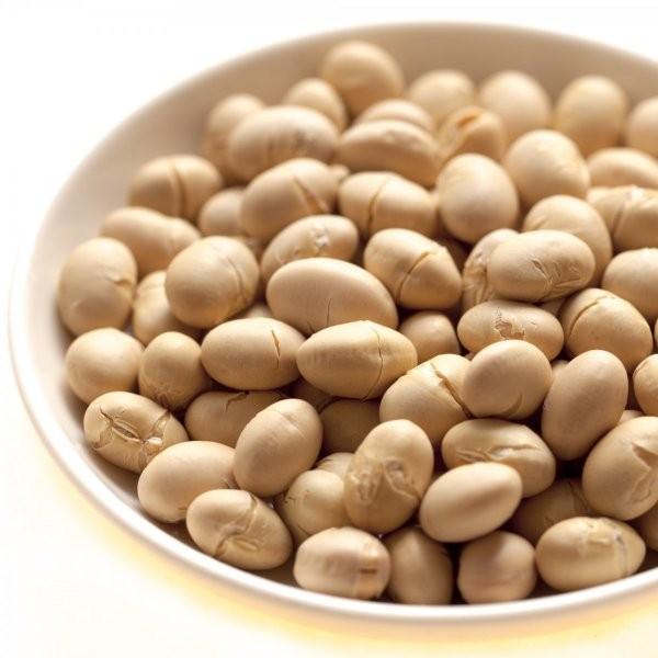 国内産煎り大豆 15kg : みの屋ヤフー店 - 通販 - Yahoo!ショッピング