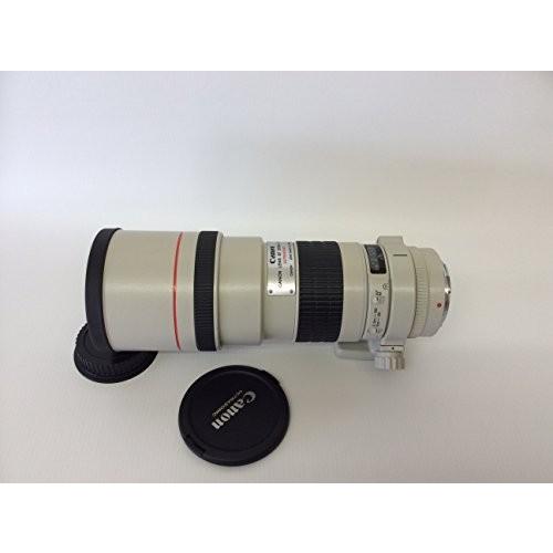 Canon キャノン EF 300mm F4L USM 高級単焦点レンズ カメラ