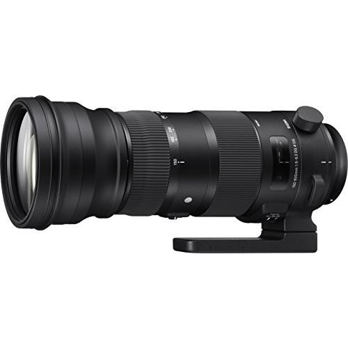 SIGMA 超望遠ズームレンズ Sports 150-600mm F5-6.3 DG OS HSM ニコン  