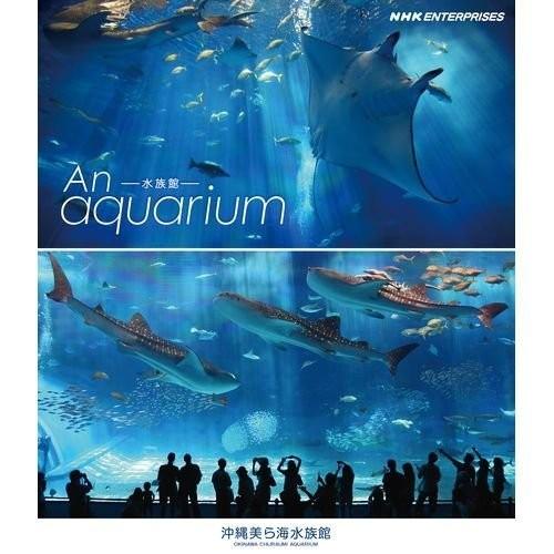 An Aquarium−水族館　〜沖縄美ら海水族館〜 ブルーレイ NHKスクエア限定｜omatsurilife