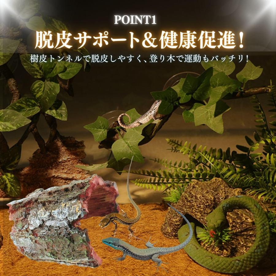 爬虫類 シェルター レオパ トカゲ カナヘビ ヤモリ 隠れ家 流木 登り木